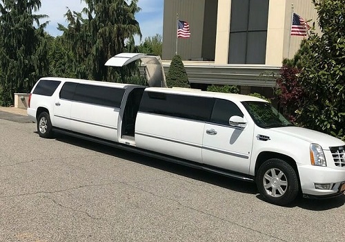 eighteen passengers limo